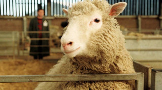 Σαν σήμερα: Η 23η Φεβρουαρίου στην ιστορία