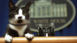 Σαν σήμερα: Η 19η Μαρτίου στην ιστορία