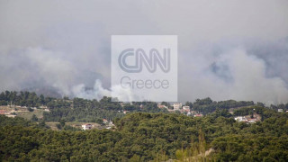 Φωτιά Σχίνος: Πρόβλεψη για ενίσχυση των ανέμων - Δήμαρχος Μεγάρων: Η πυρκαγιά γίνεται ανεξέλεγκτη