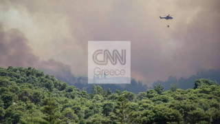 Φωτιά Σχίνος: Συστάσεις για την προστασία από το νέφος - Τι να προσέξετε