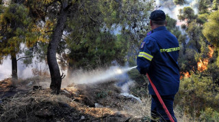 Φωτιά στην Κηφισιά