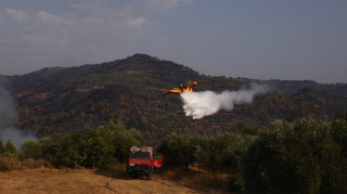 Υπό έλεγχο η φωτιά στις Πετριές της νότιας Εύβοιας