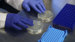 Αντζελίκ Κόατζι: Η σοβαρότητα της Όμικρον θα κριθεί από το τι κάνει σε ανεμβολίαστους ηλικιωμένους