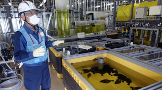 Η Κίνα απαγορεύει τις εισαγωγές θαλασσινών από την Ιαπωνία, λόγω Φουκουσίμα  