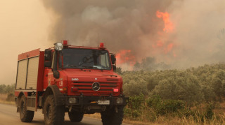 Φωτιά στο δάσος της Δαδιάς: Σώθηκαν από πυροσβέστες 25 παράτυποι μετανάστες