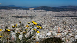 Καιρός σήμερα: «Ανοιξιάτικο» το τοπίο με υψηλές θερμοκρασίες