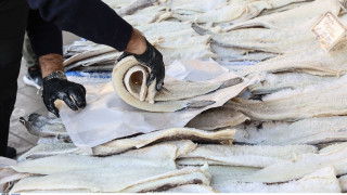 Επιτήδειοι «βαφτίζουν» το λινγκ... μπακαλιάρο: Συμβουλές για αγορές χωρίς «παγίδες»