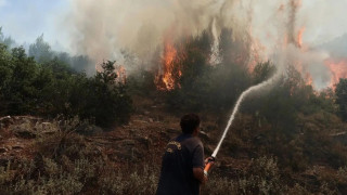 Φωτιά στις Φιλιάτες Θεσπρωτίας - Επιχειρούν ισχυρές δυνάμεις της Πυροσβεστικής