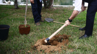 Μία σημαντική δενδροφύτευση την Κυριακή 26 Μαΐου - Προστατεύουμε όλοι μαζί το περιβάλλον