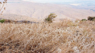 Αναρτήθηκαν οι πίνακες δικαιούχων της Εξισωτικής Αποζημίωσης 2025 - Έως 24 Δεκεμβρίου οι ενστάσεις