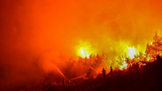 Ολονύχτια μάχη με τις φλόγες στην Πάφο: Πύρινη λαίλαπα έκαψε σπίτια - Ξεκίνησε από σκουπιδότοπο