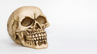 Αποκαλύφθηκε το πρόσωπο ενός «βρικόλακα»: Η επιστήμη ανακατασκευάζει την εικόνα του