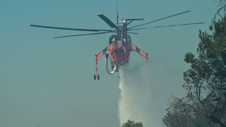 Πυρκαγιά στην Αρχαία Ολυμπία - Σήμανε συναγερμός στην Πυροσβεστική