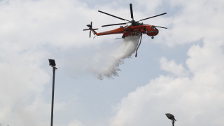 Φωτιά στη Βοιωτία: Ισχυρές δυνάμεις της πυροσβεστικής στο σημείο - Σηκώθηκε ελικόπτερο