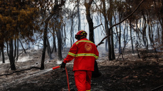 Συνελήφθη 72χρονος για την πυρκαγιά στις Αγριλές Χανίων