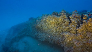 Εντοπίστηκε η πλώρη του ιταλικού υποβρυχίου Jantina - Στο φως σπάνια ιστορικά ντοκουμέντα