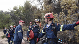 Φωτιά στο Μαραθώνα - Κινητοποίηση της Πυροσβεστικής