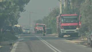 Δύο συλλήψεις για εμπρησμό από πρόθεση σε γεωργική έκταση στην Κρήτη