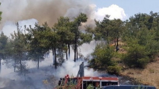 Περιορίστηκε η φωτιά σε περιβάλλοντα χώρο εργοστασίου στην περιοχή Γομοστό