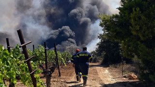 Πολύ υψηλός κίνδυνος πυρκαγιάς αύριο, Σάββατο, στην Κρήτη και Δωδεκάνησα