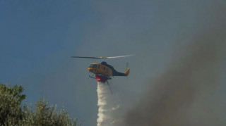 Φωτιά στην Ανδραβίδα: Καίγεται δασική έκταση - Στη μάχη 7 ελικόπτερα