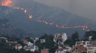 Σχέδιο πρόληψης δασικών πυρκαγιών στον αστικό ιστό παρουσιάζει η Κυβέρνηση