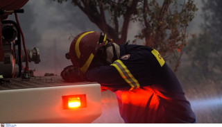 Με κατάγματα σε σπόνδυλο, γόνατο και φτέρνα ο πυροσβέστης που τραυματίστηκε στην Αργολίδα