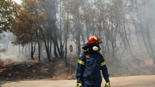 Σαρηγιάννης για αποπνικτική ατμόσφαιρα στην Αττική: Πενταπλάσια τα τoξικά σωματίδια στον αέρα