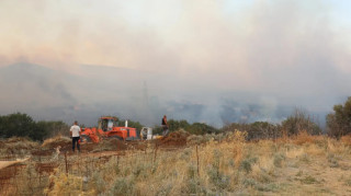 Αχαΐα: Συναγερμός για φωτιά σε αγροτοδασική έκταση στην Αιγιαλεία