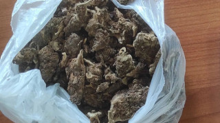 Βόρεια Μακεδονία: Κατασχέθηκαν 40 τόνοι κάνναβης