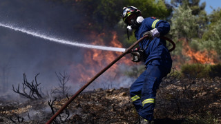 Συνελήφθη 27χρονος για πυρκαγιά από πρόθεση στην Ηλεία