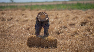 Σε πανικό 197.000 αγρότες - Καλούνται να επιστρέψουν έως και 5.000 ευρώ στον ΟΠΕΚΕΠΕ