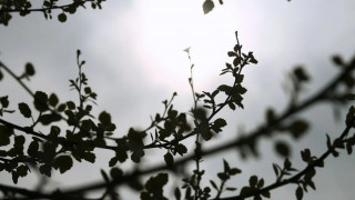 Καιρός: Με συννεφιά και τοπικές βροχές κάνει ποδαρικό η νέα εβδομάδα