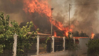 Φωτιά στην Παλαιά Φώκαια: Στα σπίτια οι φλόγες - Συγκλονιστικές εικόνες