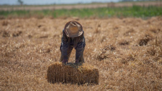 «Μετωπική» κυβέρνησης - αντιπολίτευσης για το σκάνδαλο του ΟΠΕΚΕΠΕ και στο βάθος... προανακριτική