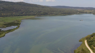 Nestlé Ελλάς & Εναλεία: Νέα πρωτοβουλία για την προστασία του θαλάσσιου περιβάλλοντος