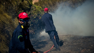 Υπό μερικό έλεγχο η φωτιά στην περιοχή Χωριστή Δράμας