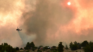 Πυροσβεστική: 53 αγροτοδασικές πυρκαγιές το τελευταίο 24ωρο σε όλη τη χώρα