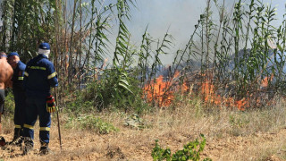 Φωτιά σε αγροτική περιοχή στο Κιλκίς - Ήχησε προειδοποιητικό μήνυμα 112