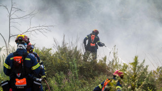Φωτιά πάνω από το δρόμο Κοζάνης – Πτολεμαΐδας: Επιχειρούν επίγεια μέσα