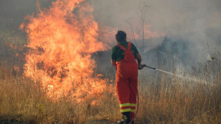 Μεγάλη φωτιά στη Σαρδηνία: 140 λουόμενοι απομακρύνθηκαν με ταχύπλοα από παραλία