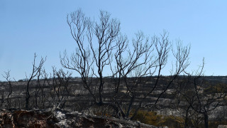 Αναζωπύρωση της φωτιάς στα Κύθηρα -  Νέα μηνύματα από το 112