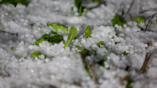 Κακοκαιρία στη Θεσσαλία: Εκτεταμένες ζημιές σε καλλιέργειες και υποδομές