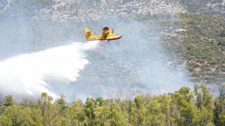 Κρήτη: Οριοθετήθηκε η φωτιά σε δασική έκταση στον Άγιο Νικόλαο