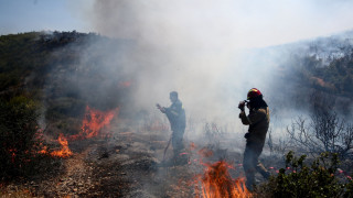 Φωτιά κοντά την Αρχαία Ολυμπία - Μήνυμα από το 112 πήραν κάτοικοι, απεγκλωβίστηκε ένα άτομο