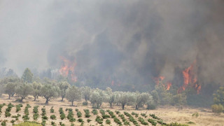 Μανούτσο Κερατέας: Καίγονται σπίτια και αποθήκες - Ενισχύθηκαν οι πυροσβεστικές δυνάμεις