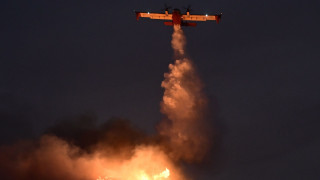 Μεγάλη φωτιά στην Ηλεία: Ισχυρές δυνάμεις της Πυροσβεστικής στα Λεχαινά