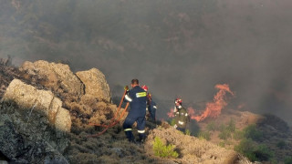 Φωτιά στη Χίο: Πάνω από 150 καμένοι στύλοι ηλεκτροδότησης