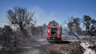 Χάρτης πρόβλεψης πυρκαγιών: Πολύ υψηλός κίνδυνος σε οκτώ Περιφέρειες την Παρασκευή
