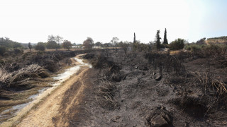 Απαλλαγή από τον ΕΝΦΙΑ για τους κατοίκους περιοχών που επλήγησαν από πυρκαγιές